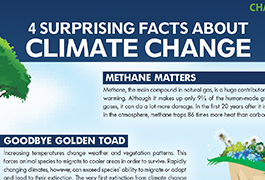 Climate Change image
