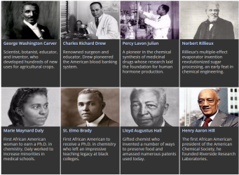 African Americans in the Chemical Sciences