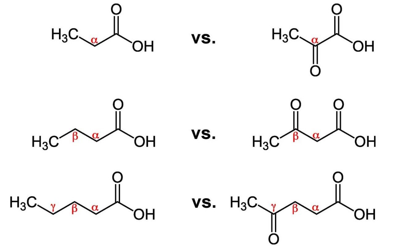 Acids Brady studied during his Ph.D research (propionic acid vs. pyruvic acid, butyric acid vs. acetoacidic acid, and valeric acid vs. levulinic acid)