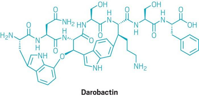 Molecular structure of darobactin