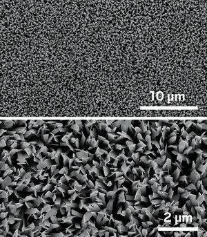 Zinc oxide nanowires at 2 different magnifications