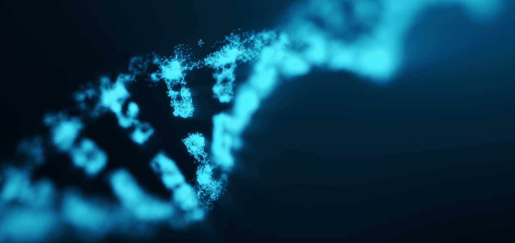 DNA 3D image