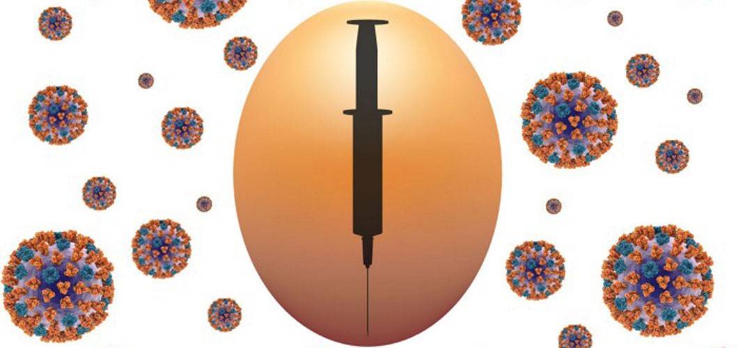 Graphic of syringe inside an egg, surrounded by flu virus.
