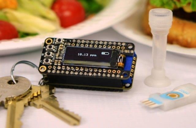 Keychain detector could catch food allergens before it’s too late