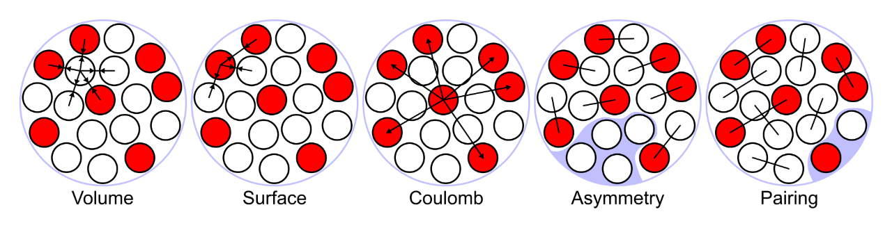 Visual representation of the energy and forces that are at play in the liquid-drop model.