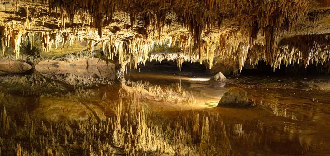 Cave stalagmites