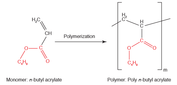 n-butyl acrylate undergoes polymerization to create poly n-butyl acrylate