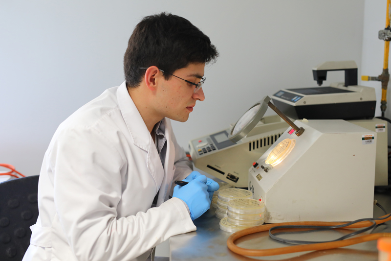 Student Luis Mauricio Ortiz-Gálvez  studies in the lab