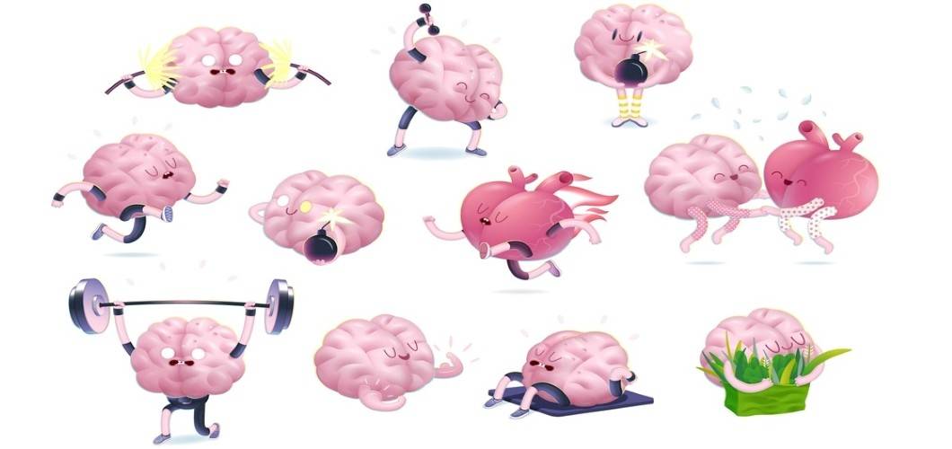 animated brains working out