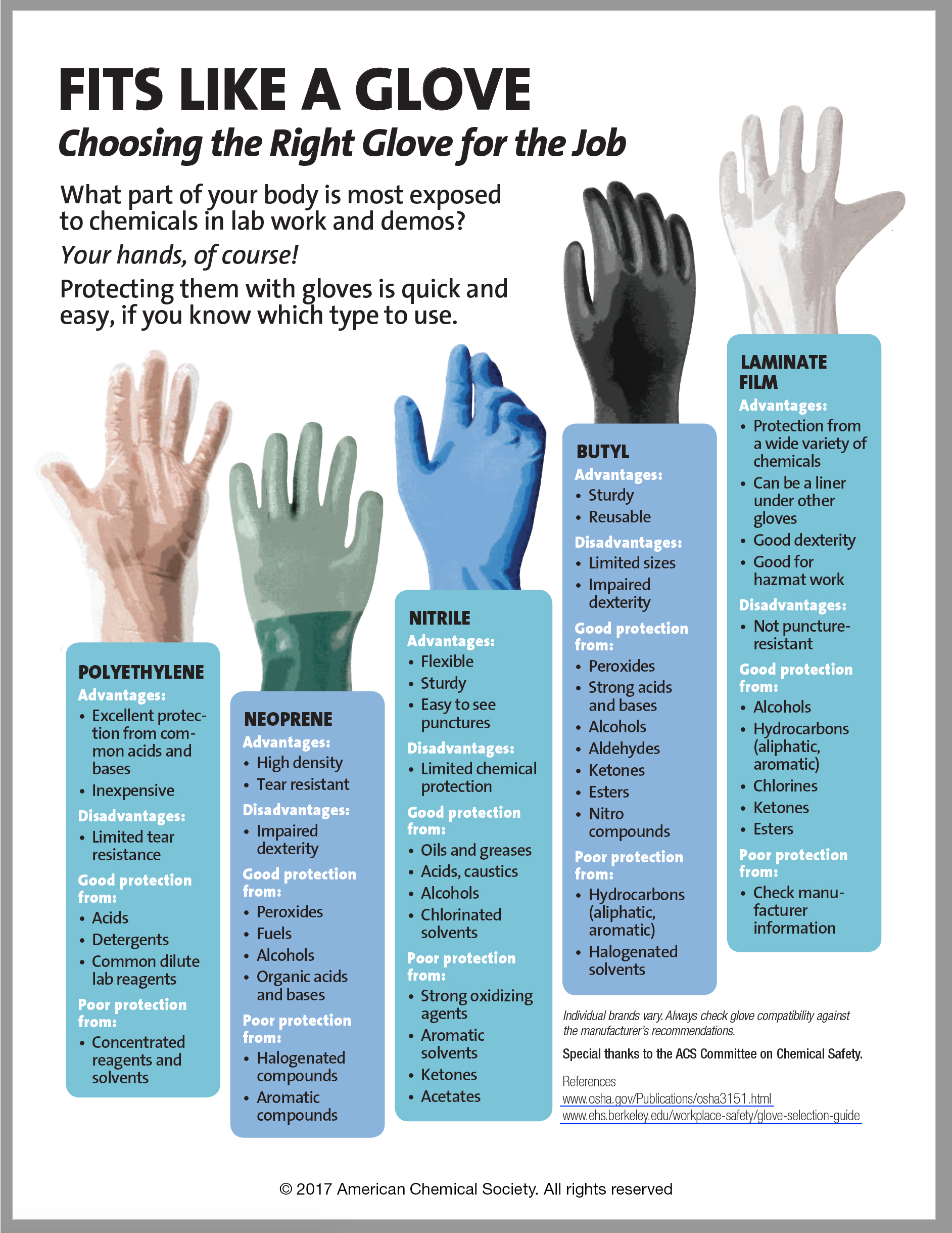 Infographic - Choosing the Right Glove to Protect Your Hands